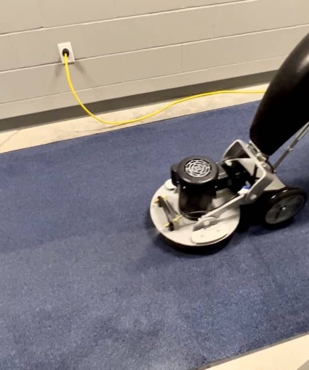 professional vacuuming blue rug